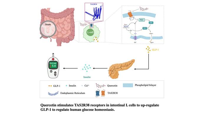 圖示AI 生成的內容可能不正確。